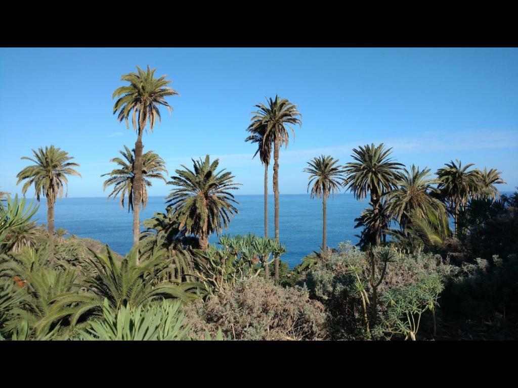 Villa In Protected Space In Front Of The Sea Los Realejos Esterno foto